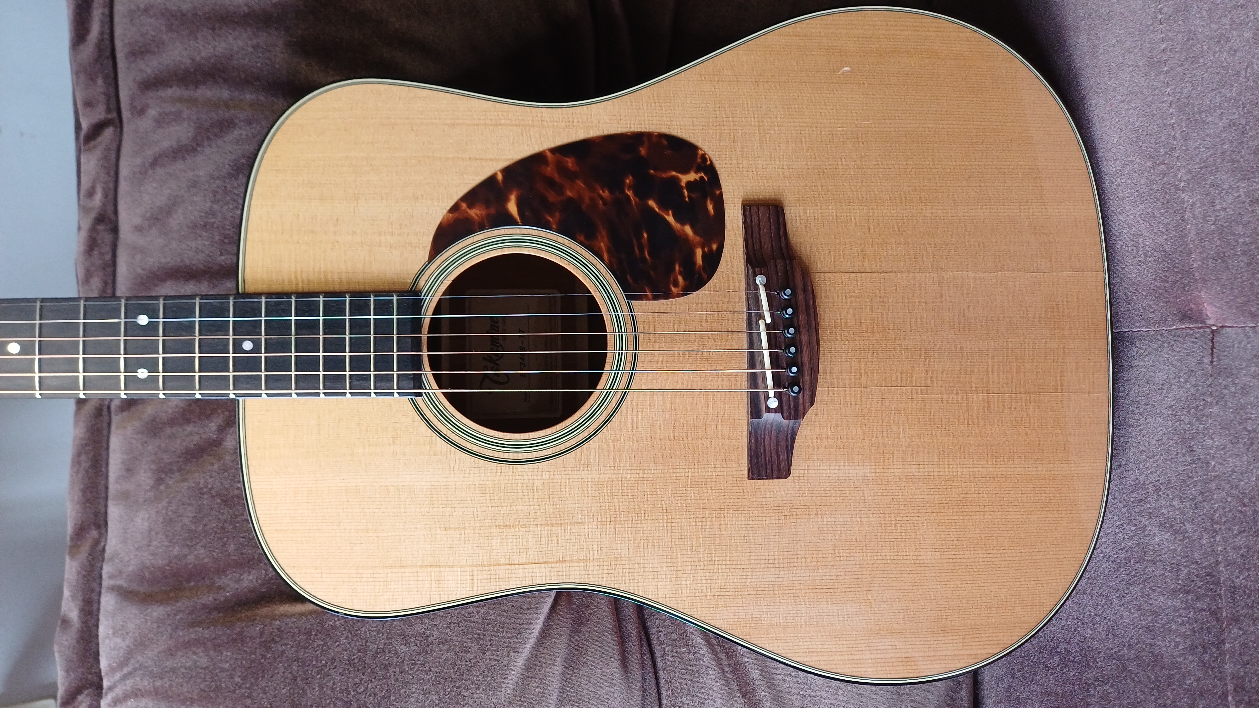Takamine Thermal